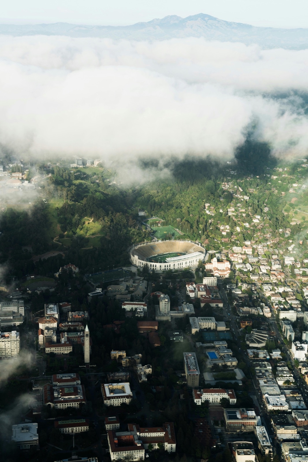 Berkeley Generators