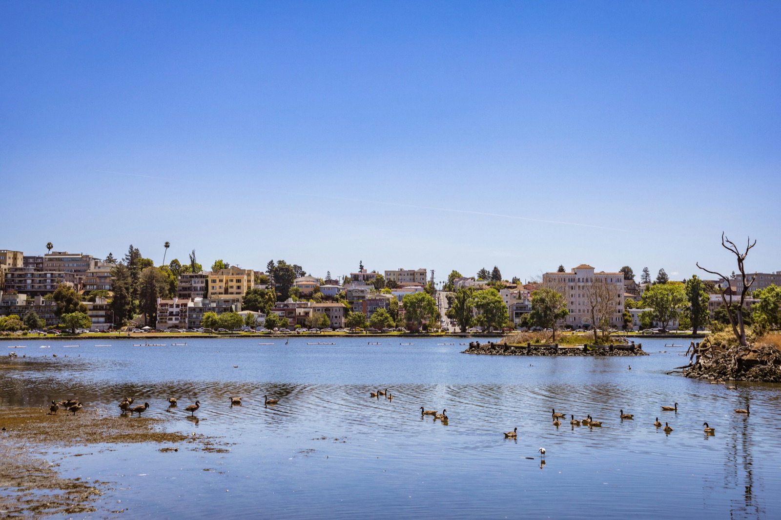 Generator Rentals, Service & Installation in Oakland, CA